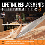 Full Size Wood Carving Tools Set of 12 - Foundation Chisels and Gouges for Beginners